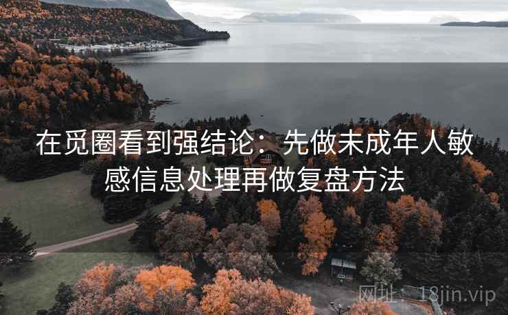 在觅圈看到强结论：先做未成年人敏感信息处理再做复盘方法