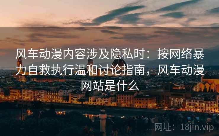 风车动漫内容涉及隐私时：按网络暴力自救执行温和讨论指南，风车动漫网站是什么
