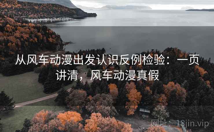 从风车动漫出发认识反例检验：一页讲清，风车动漫真假