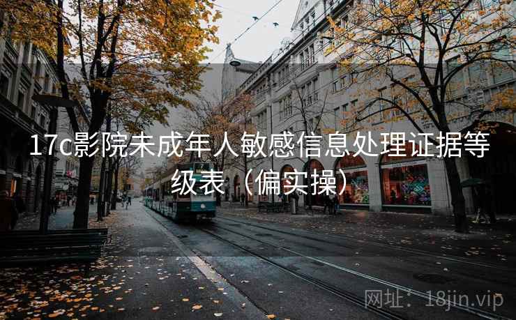17c影院未成年人敏感信息处理证据等级表(偏实操) 17c影院未成年人敏感信息处理证据等级表(偏实操)