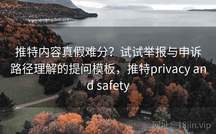 推特内容真假难分？试试举报与申诉路径理解的提问模板，推特privacy and safety
